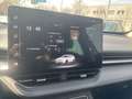 GWM HAVAL H6 1.5 HEV DHT Premium App-Navi Kamera LED Grau - thumbnail 15