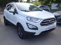 Ford EcoSport 1.5 tdci ST-Line s OCCASIONE Bianco - thumbnail 3