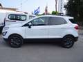 Ford EcoSport 1.5 tdci ST-Line s OCCASIONE Bianco - thumbnail 4