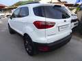 Ford EcoSport 1.5 tdci ST-Line s OCCASIONE Bianco - thumbnail 6