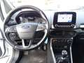Ford EcoSport 1.5 tdci ST-Line s OCCASIONE Bianco - thumbnail 11