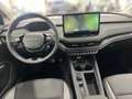 Skoda 50 Tour Schwarz - thumbnail 11