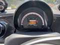 smart forTwo eq mattrunner 22kW Zilver - thumbnail 14