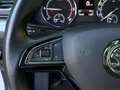 Skoda Superb 2.0 TDI DSG Premium Edit XEN+NAV+AHK+SHZ+ Weiß - thumbnail 16