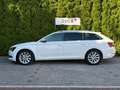 Skoda Superb 2.0 TDI DSG Premium Edit XEN+NAV+AHK+SHZ+ Bianco - thumbnail 4