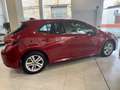 Toyota Corolla 125H Business Plus Rouge - thumbnail 7