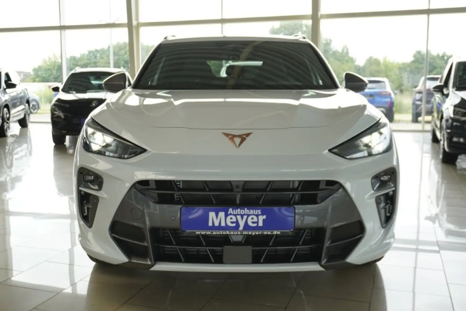 CUPRA Terramar 2.0TSI 4Drive aAHK/Standhz/ACC/el.Klappe     ** Білий - 2