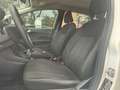 Ford Fiesta 1.5TDCi Active 85 Blanco - thumbnail 9