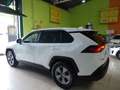Toyota RAV 4 2.5 hybrid 2WD Business Blanc - thumbnail 23