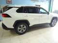 Toyota RAV 4 2.5 hybrid 2WD Business Blanc - thumbnail 19