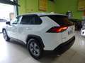 Toyota RAV 4 2.5 hybrid 2WD Business Blanc - thumbnail 5