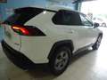 Toyota RAV 4 2.5 hybrid 2WD Business Blanc - thumbnail 20