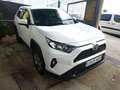 Toyota RAV 4 2.5 hybrid 2WD Business Blanc - thumbnail 2