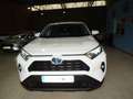 Toyota RAV 4 2.5 hybrid 2WD Business Blanc - thumbnail 27