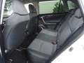 Toyota RAV 4 2.5 hybrid 2WD Business Blanc - thumbnail 7