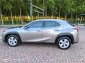 Lexus UX 250h UX 2021 250h 2.0 Business 2wd cvt my20 Argento - thumbnail 12