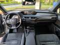 Lexus UX 250h UX 2021 250h 2.0 Business 2wd cvt my20 Argento - thumbnail 17