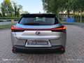 Lexus UX 250h UX 2021 250h 2.0 Business 2wd cvt my20 Argento - thumbnail 9