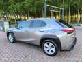 Lexus UX 250h UX 2021 250h 2.0 Business 2wd cvt my20 Argento - thumbnail 11
