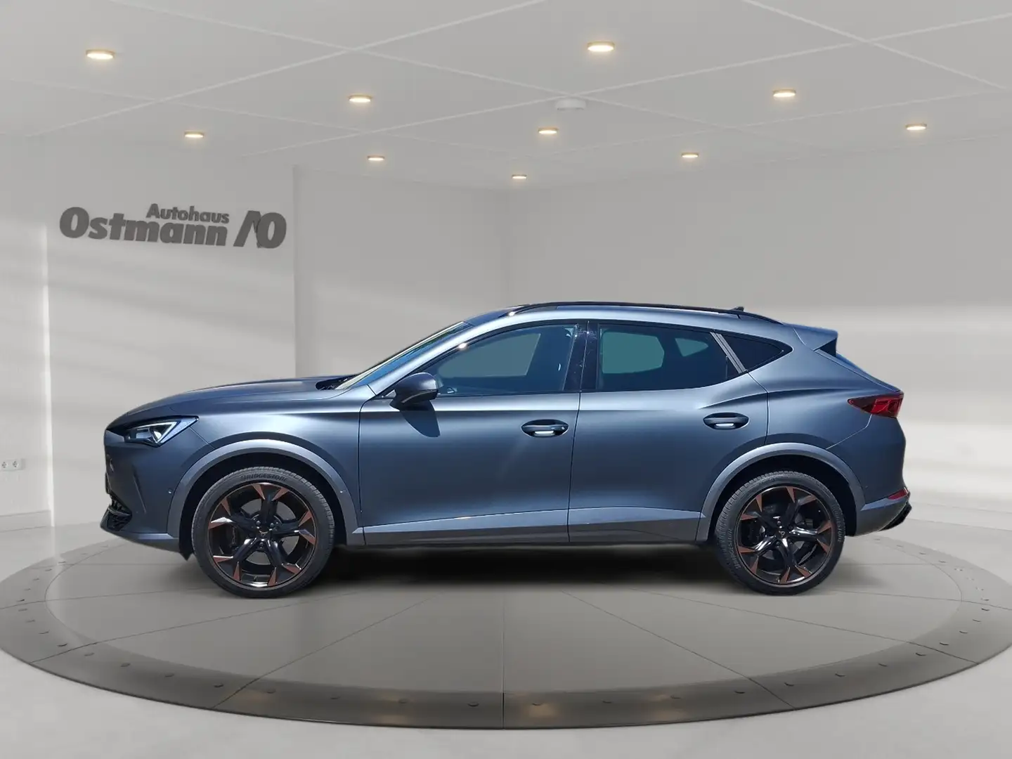 CUPRA Formentor 2.0 TSI 4 Drive VZ AHK 360 19'' Beats Grigio - 2