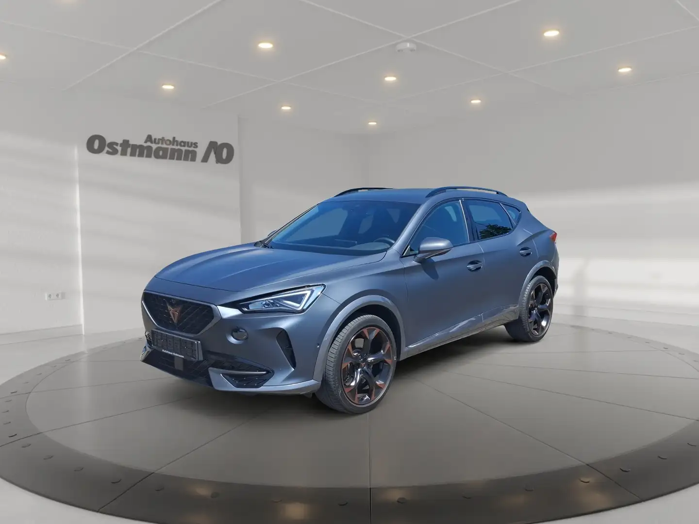 CUPRA Formentor 2.0 TSI 4 Drive VZ AHK 360 19'' Beats Grigio - 1