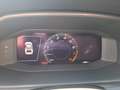 CUPRA Formentor 2.0 TSI 4 Drive VZ AHK 360 19'' Beats Grigio - thumbnail 12