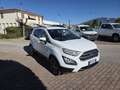 Ford EcoSport 1.0 ecoboost Plus 125cv Bianco - thumbnail 2
