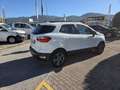 Ford EcoSport 1.0 ecoboost Plus 125cv Bianco - thumbnail 3