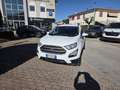Ford EcoSport 1.0 ecoboost Plus 125cv Bianco - thumbnail 1