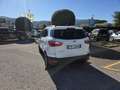 Ford EcoSport 1.0 ecoboost Plus 125cv Bianco - thumbnail 4