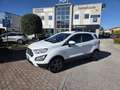 Ford EcoSport 1.0 ecoboost Plus 125cv Bianco - thumbnail 5