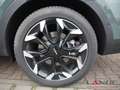 Kia Sorento Platinum 4WD 6-Sitzer HUD Niveau El. Panodach Lede Zöld - thumbnail 9