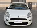 Fiat Punto GRANDE PUNTO 1.3 MULTIJET 75 CAVALLI NEOPATENTATI Blanc - thumbnail 6