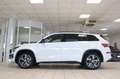 Skoda Kodiaq Sportline 4x4 DCC AHK Kamera Memory Blanc - thumbnail 9