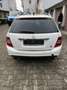 Mercedes-Benz C 320 T CDI 7G-TRONIC Elegance Sport Edition + - thumbnail 9