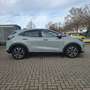 Ford Puma Titanium Fahrerassistenzpaket+ Matrix-LED Grau - thumbnail 7