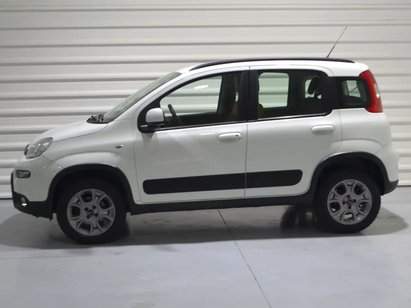 Fiat Panda 1.3 LOUNGE 4X4 75CV (5 PUERTAS) Blanco - 2