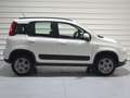 Fiat Panda 1.3 LOUNGE 4X4 75CV (5 PUERTAS) Blanco - thumbnail 3