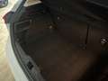 Ford Focus 1.5 Ecoblue Trend+ 120 Aut. Blanco - thumbnail 9