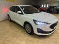 Ford Focus 1.5 Ecoblue Trend+ 120 Aut. Blanco - thumbnail 5