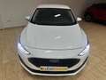 Ford Focus 1.5 Ecoblue Trend+ 120 Aut. Blanco - thumbnail 4