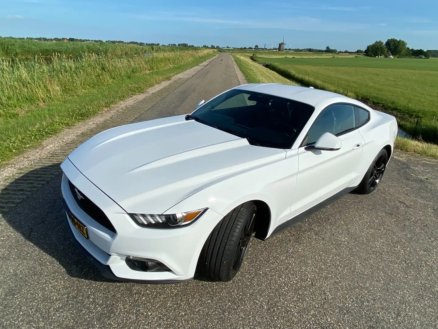 Ford Mustang Mustang 2.3 EcoBoost Wit - 1