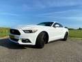Ford Mustang Mustang 2.3 EcoBoost Wit - thumbnail 2