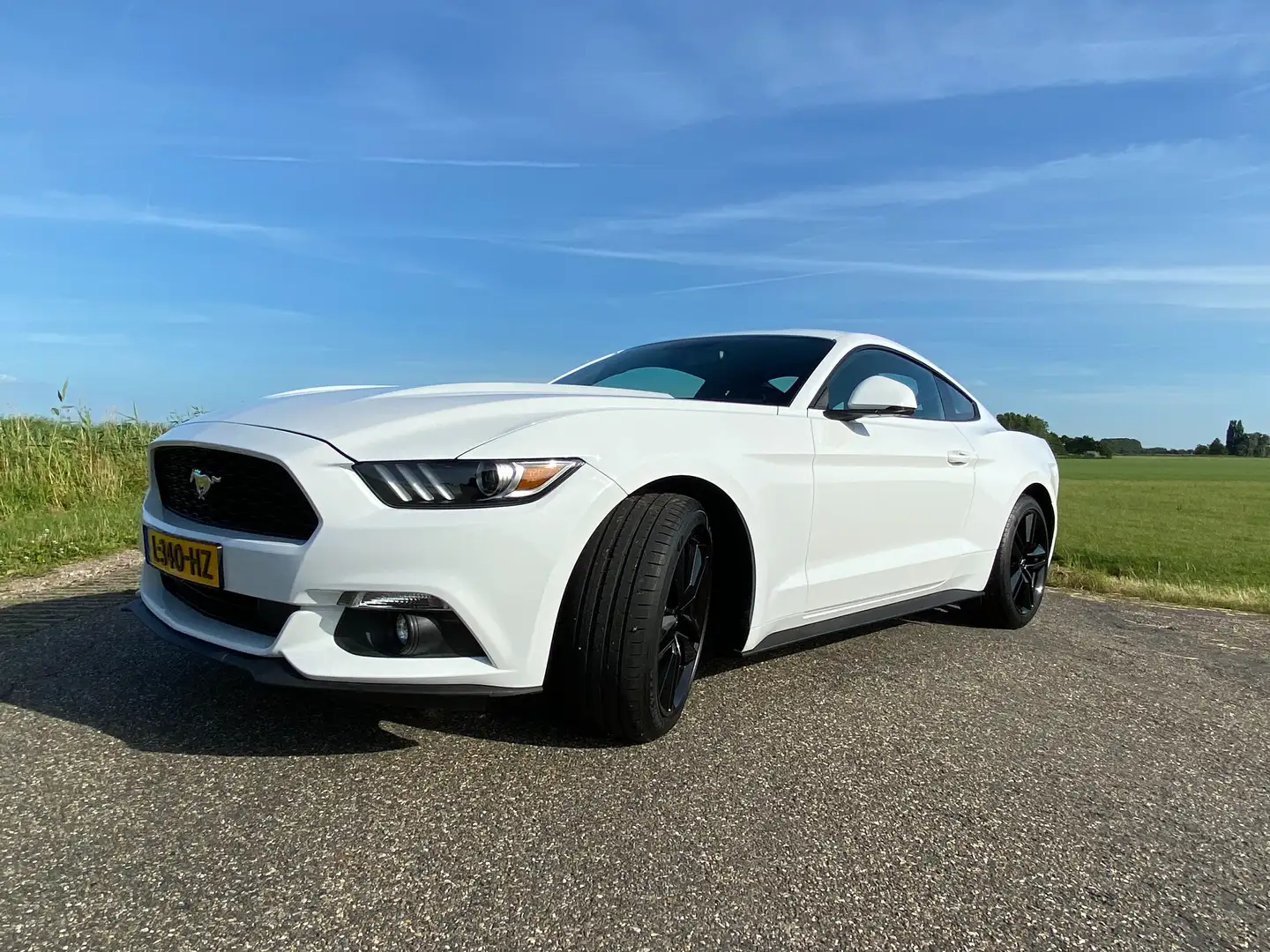Ford Mustang Mustang 2.3 EcoBoost Wit - 2