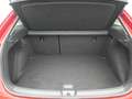 Volkswagen Taigo Style DSG NAVI VIRT MATRIX KAM SHZ CARP Rot - thumbnail 15