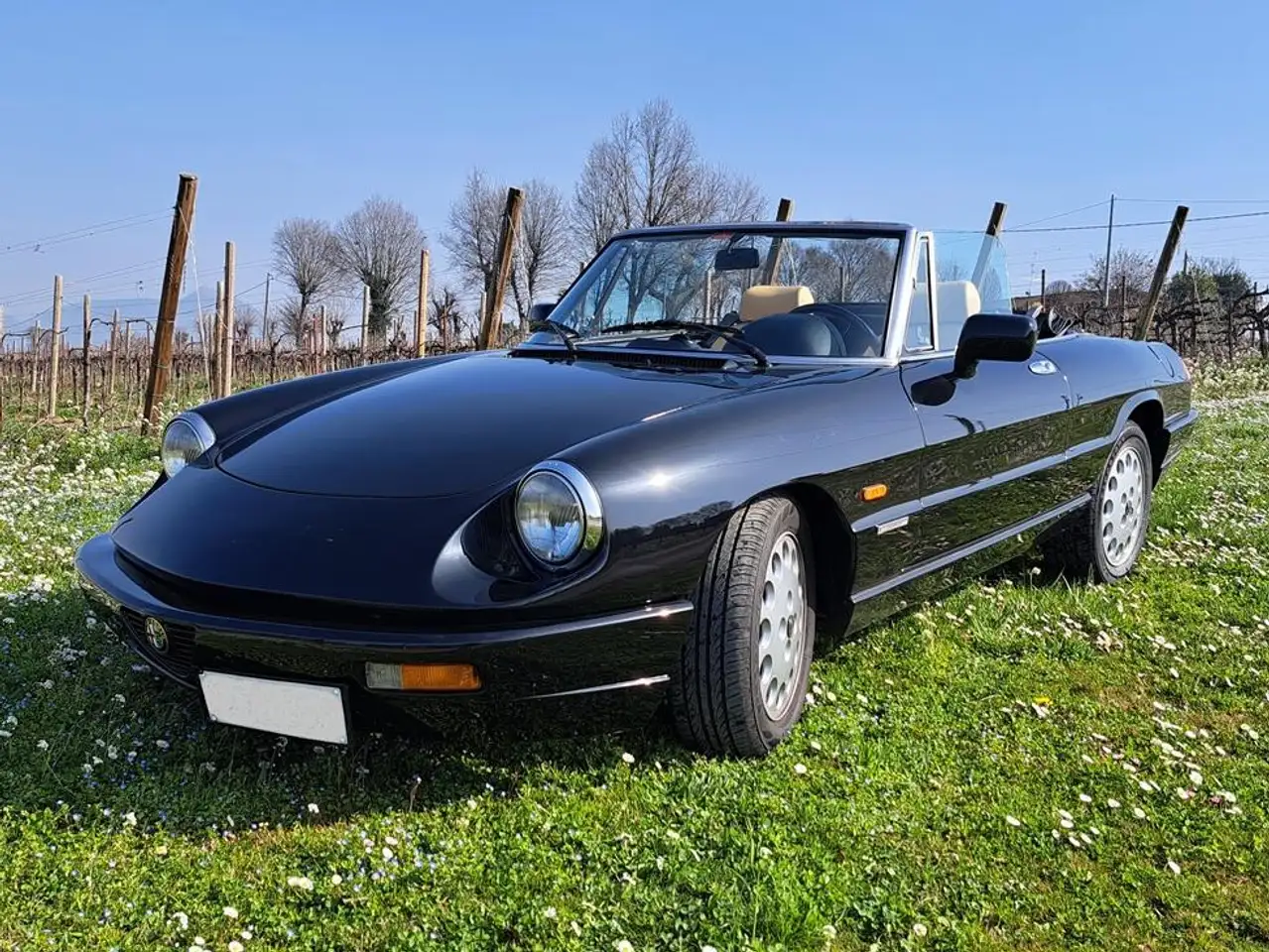 Alfa Romeo Spider 2.0 (IV Serie), foto 1