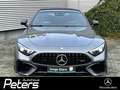 Mercedes-Benz SL 63 AMG SL 63 AMG 4M+ Distronic/Memory/360° Navi/Autom. Gris - thumbnail 4