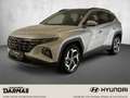 Hyundai TUCSON TUCSON Hybrid 1.6 Turbo TREND 4WD PanoD 19 Alu Zilver - thumbnail 1