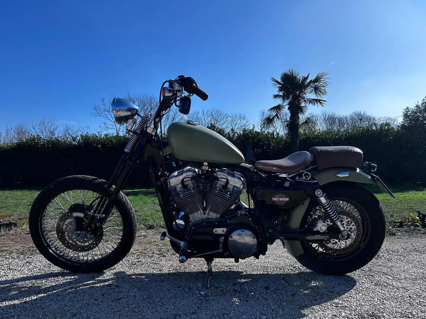 Harley-Davidson Sportster XL 883 53c Verde - 2