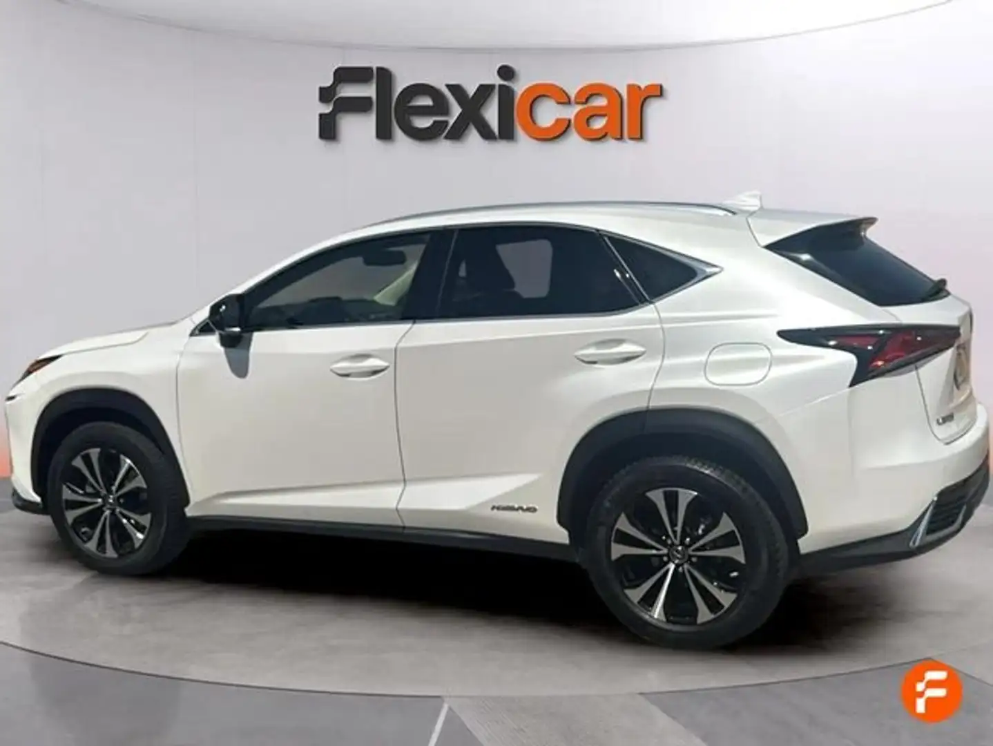 Lexus NX 300h 2.5 Business 2WD Blanco - 2